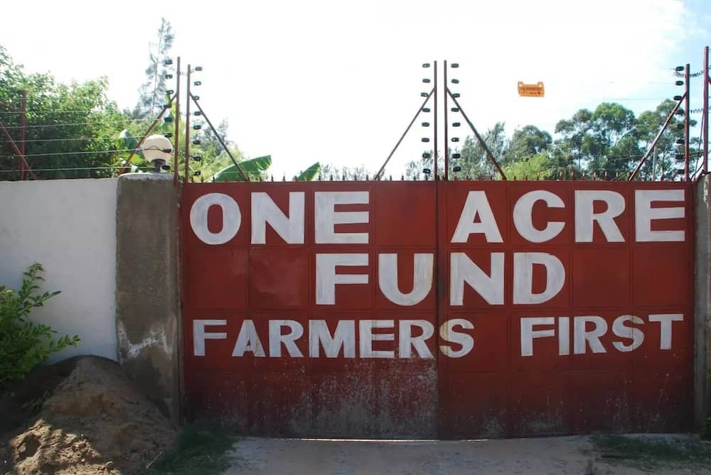 One acre fund contacts, One acre fund Kenya contacts, One acre fund Nairobi office contacts