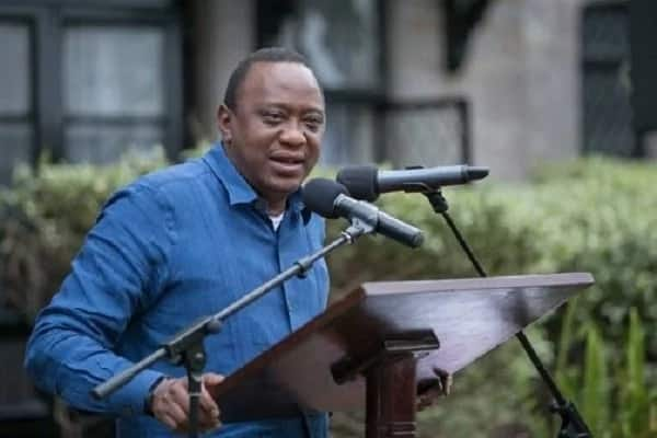 Zione picha zilizojaa ucheshi za Ruto akimualika Uhuru kwa sherehe ya kukata na shoka