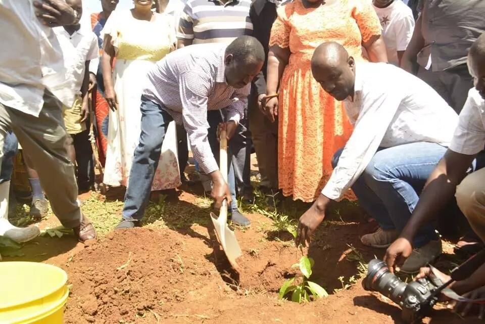 Ukulima wa miparachichi utakuza mamilionea wa siku zijazo – Raila Odinga