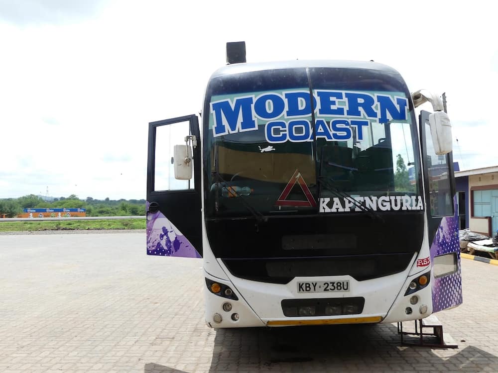 modern coast bus contacts, modern coast contacts, modern coast bus customer care contacts