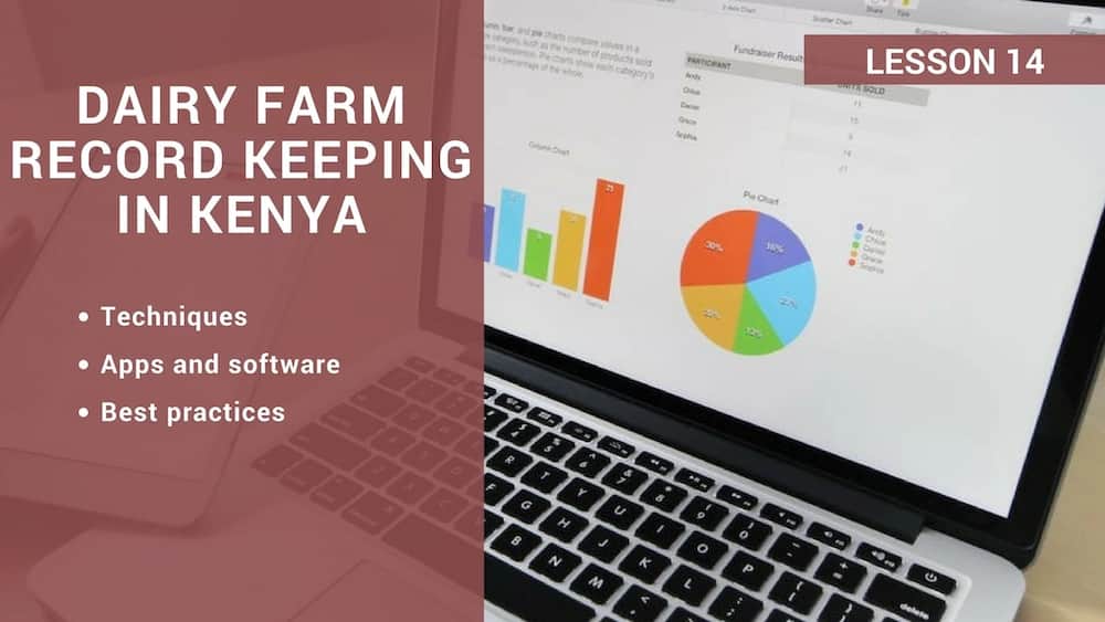Dairy farm record keeping in Kenya