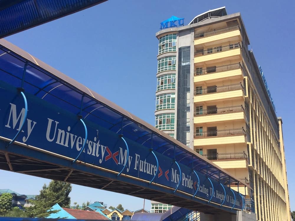 Mount kenya university diploma courses list