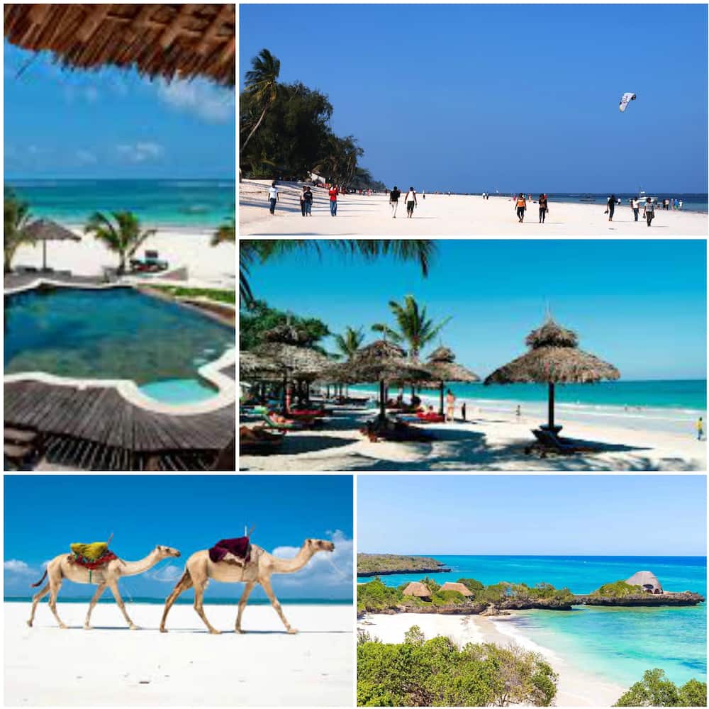 Tourist attractions in Mombasa