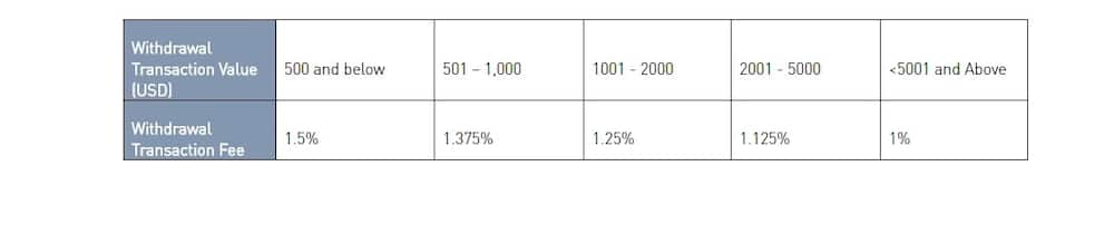 Paypal Equity withdrawal service