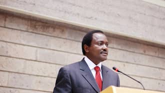 Kalonzo Musyoka: Wiper Leader Cut Ties with Azimio, to Independently Vie for Presidency
