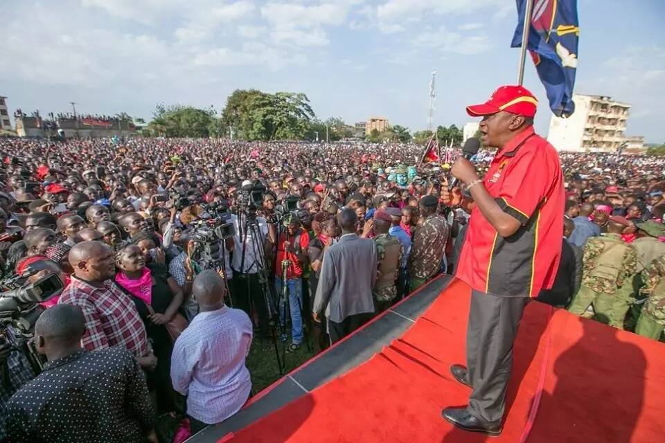 Ulimi wa Raila sasa ni sumu kali na lazima kuchunguzwa – Jubilee wadai