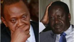 I have video of Uhuru Kenyatta uttering hate speech, Jakoyo Midiwo