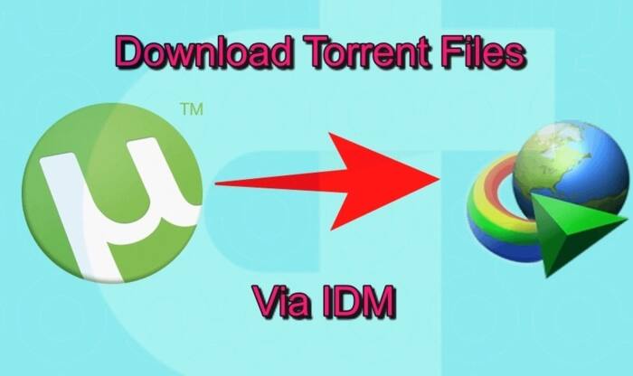 How to download torrents with IDM - Tuko.co.ke