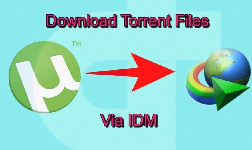 Torrent