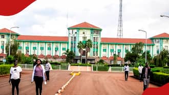 Moi University Students Angered after Graduation is Pushed to December: 'Very Frustrating"