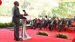 William Ruto Orders Parastatal Heads to Cut Recurrent Budgets by 30%: "Remit Profits to Treasury"