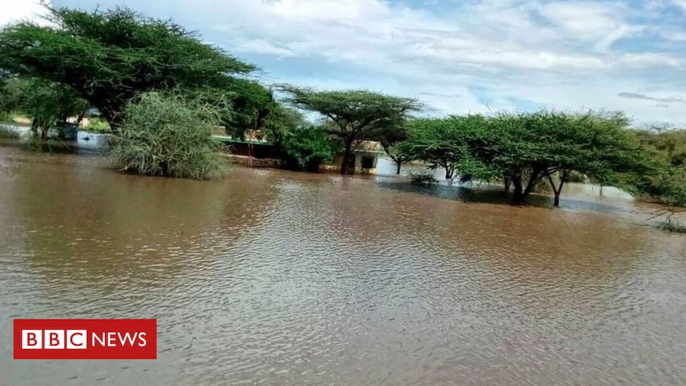 causes of climate change in Kenya