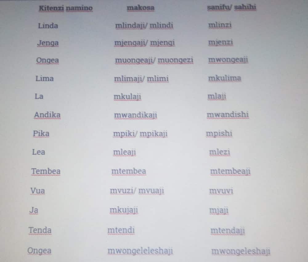 Mwanga wa Kiswahili: Makosa ya mazoea katika matumizi ya Kiswahili