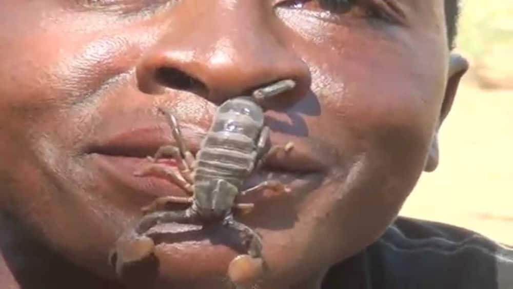 Baringo police allegedly kill man said to posses supernatural abilities to handle poisonous scorpions, feed crocodiles