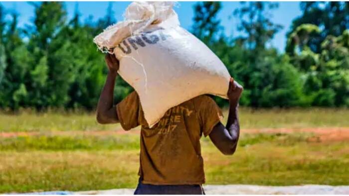 Food Crisis: World Bank Releases KSh 270.5b to Tackle Food Shortage in Eastern, Southern Africa