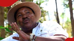 Ferdinand Waititu Accuses William Ruto of Giving Him an Unclear Job, Says UDA Is Dishonest