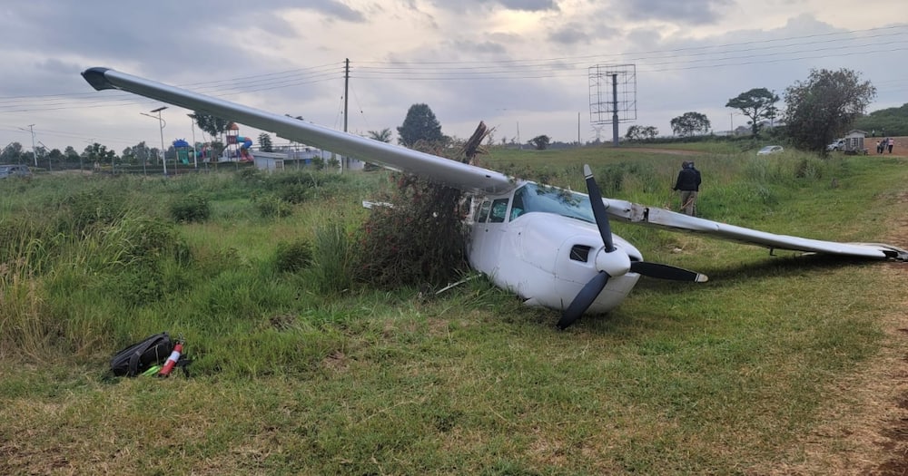 The plane's pilot escaped unhurt.