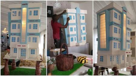 "Don't Eat The House": Genius Baker Shows Off Giant Cake That Looks Like Mansion, Eye-popping Video Goes Viral