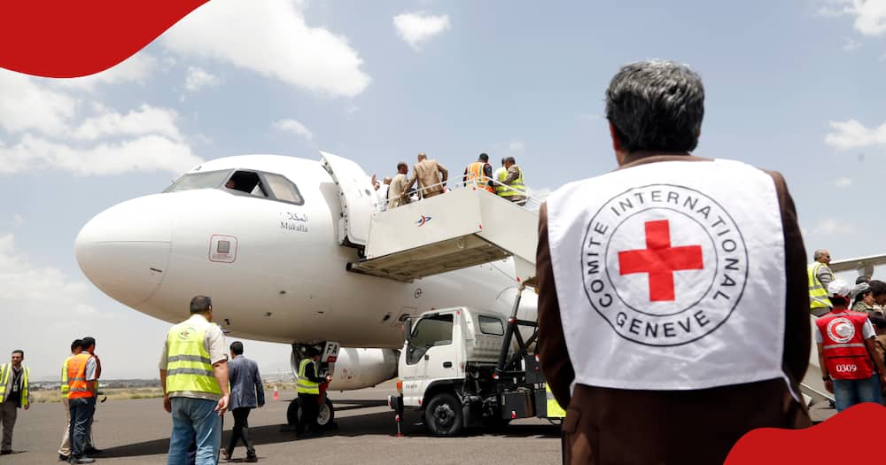 A plane chartered by the International Committee of the Red Cross (ICRC) landed at Sana'a International Airport.