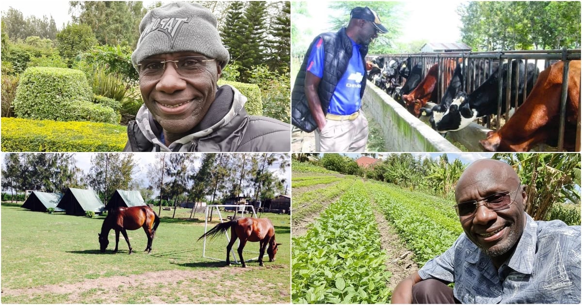 Fred Obachi Machoka's Empire: From GSU Soldier To Ranch Owner - Tuko.co.ke