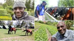 Fred Obachi Machoka's Empire: From GSU Soldier to Ranch Owner