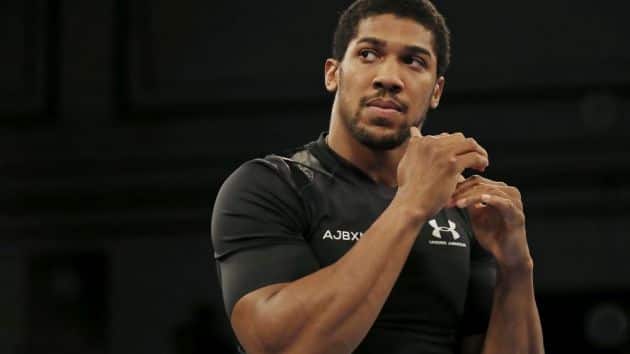 So cute: Anthony Joshua melts hearts after having passionate discussion about boxing with 87-year old fan