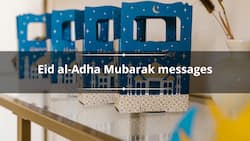 75+ best Eid al-Adha Mubarak messages and wishes to share