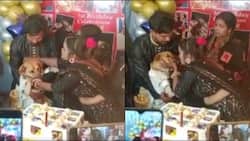 Indian Family Celebrates Pet Dog's Birthday With 350 Guests, Video Goes Viral