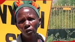 Baringo Residents Dismiss Claims County Has Ghost School:" Signpost Put to Protect Land"