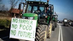EU to shield farmers threatened by Ukraine farm imports