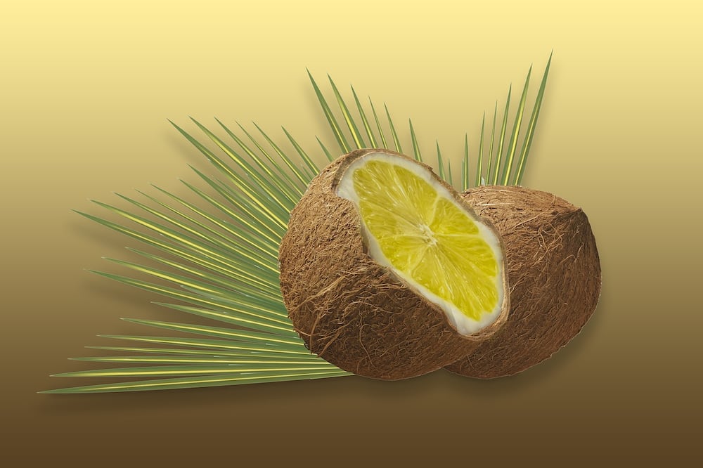  Olio di cocco e succo di limone per capelli grigi-funziona?