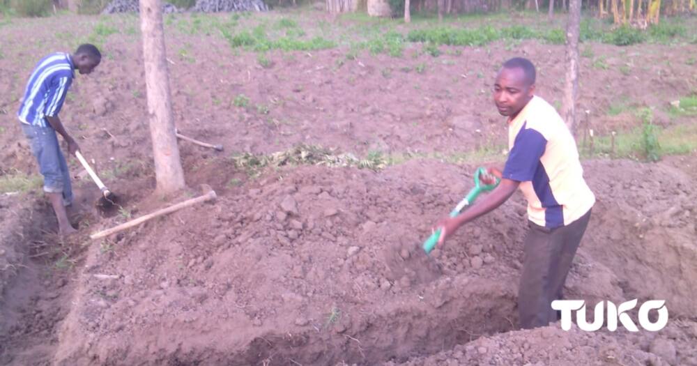 Teacher Francis Njuguna Wainoga (with a spade). Photo: Jackline Chepkoech/TUKO.co.ke.