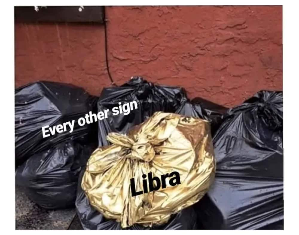 libra memes