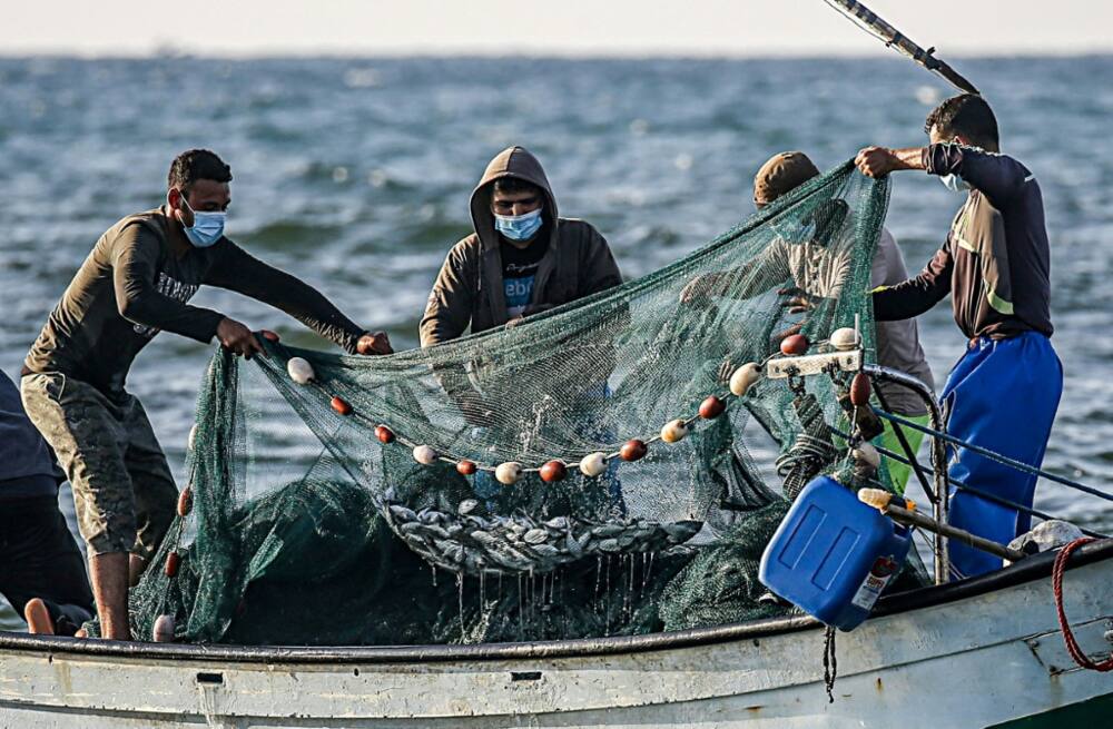 Palestinian fishermen in 2020 with fish caught in the Mediterranean Sea off Rafah in the southern Gaza Strip