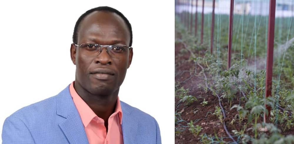 Ojepat Okisegere is a farmer and CEO fresh Produce Consortium of Kenya