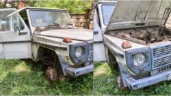 Kenyans Puzzled as 1994 Mercedes Benz G Wagon Body Sells for KSh 2.4m at Auction