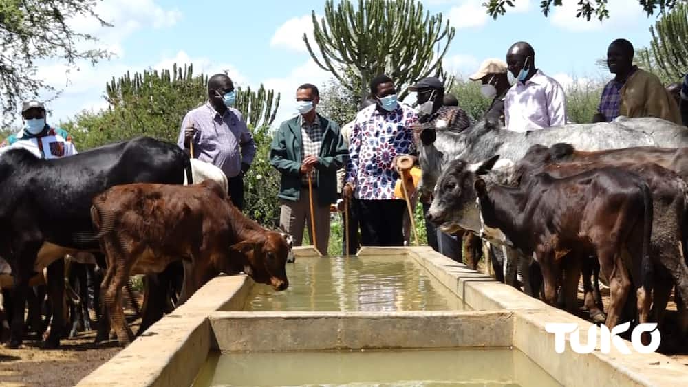 CS Wamalwa launches multi-million Nasal water project to benefit over 300 families living along Kenya-Uganda border