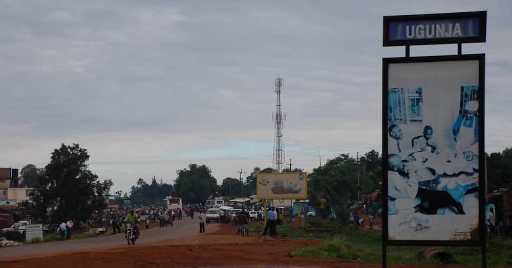 Siaya: 3 police officers arrested for drinking chang'aa while on duty