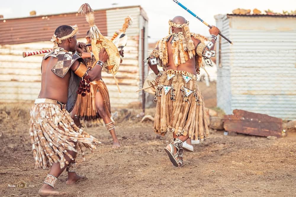 African warrior tribes