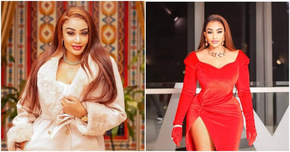 Zari Hassan Fiercely Denies Any Association with Fraudster Tainting Her Image: "I Don't Know You"