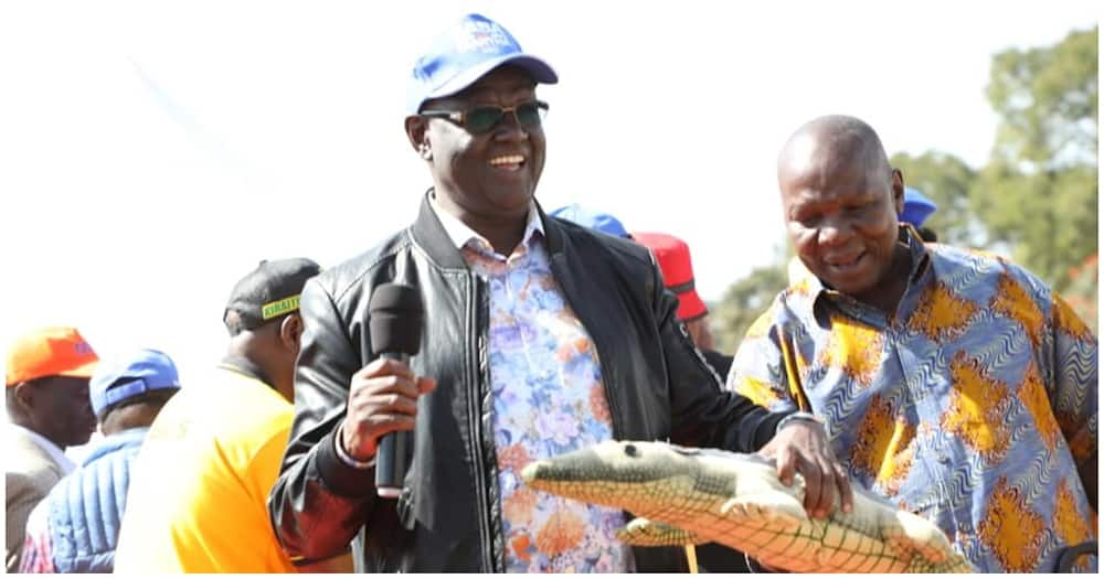 Man smilling while holding crocodile dummy.