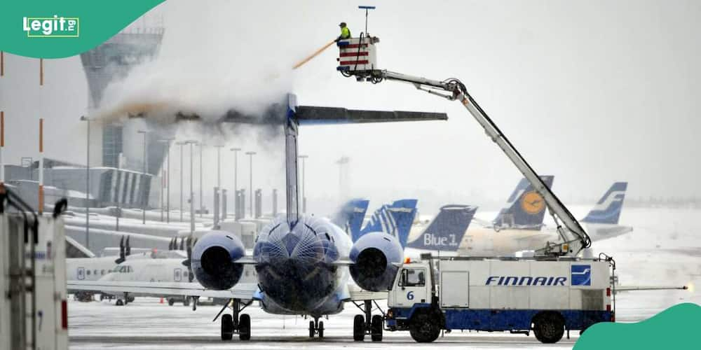 Drama As Popular Airline Begins Weigh-In for Passengers Before Takeoff ...