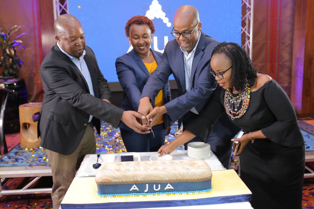 Need for intelligent data, information emphasised as mSurvey rebrands to Ajua