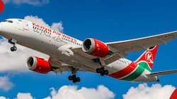 Kenya Airways Debt: Govt Settles More Than Half of Loan Airline Took from American Bank