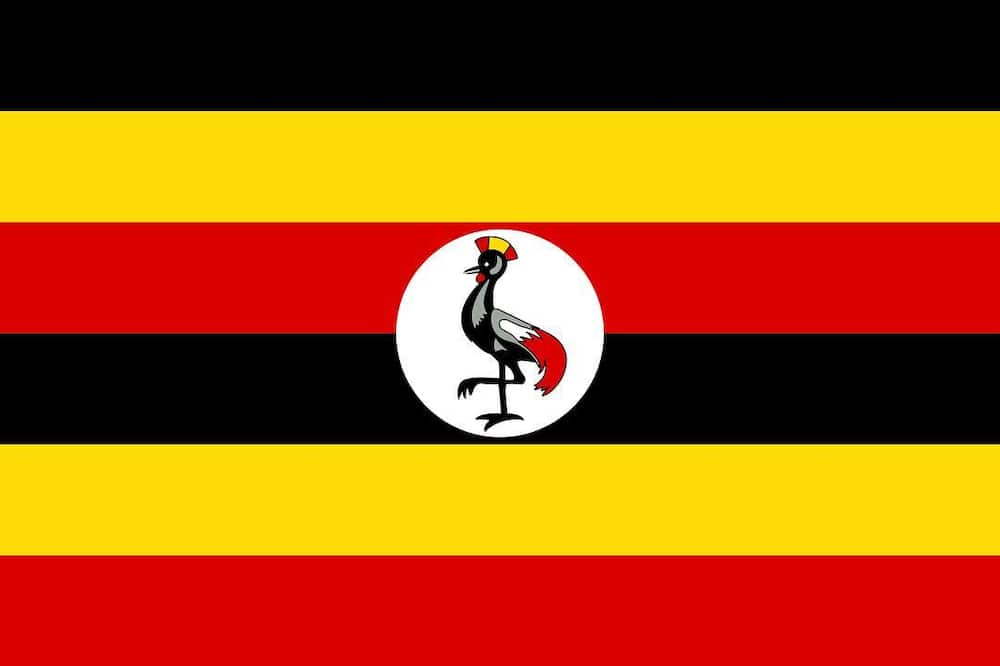 What language is spoken in Uganda?