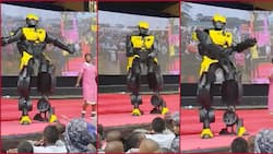 Awinja, Robot Like Man Display Flawless Moves to Viral Somali Song: "Ameweza"