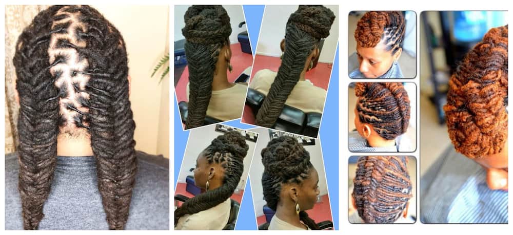 dreadlock hairstyles for women