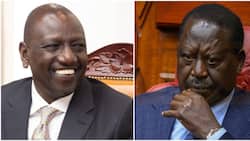 Kenya This Week: Raila, Ruto Take on Each Other in Bare Knuckle Twitter Confrontation, Other Top Stories