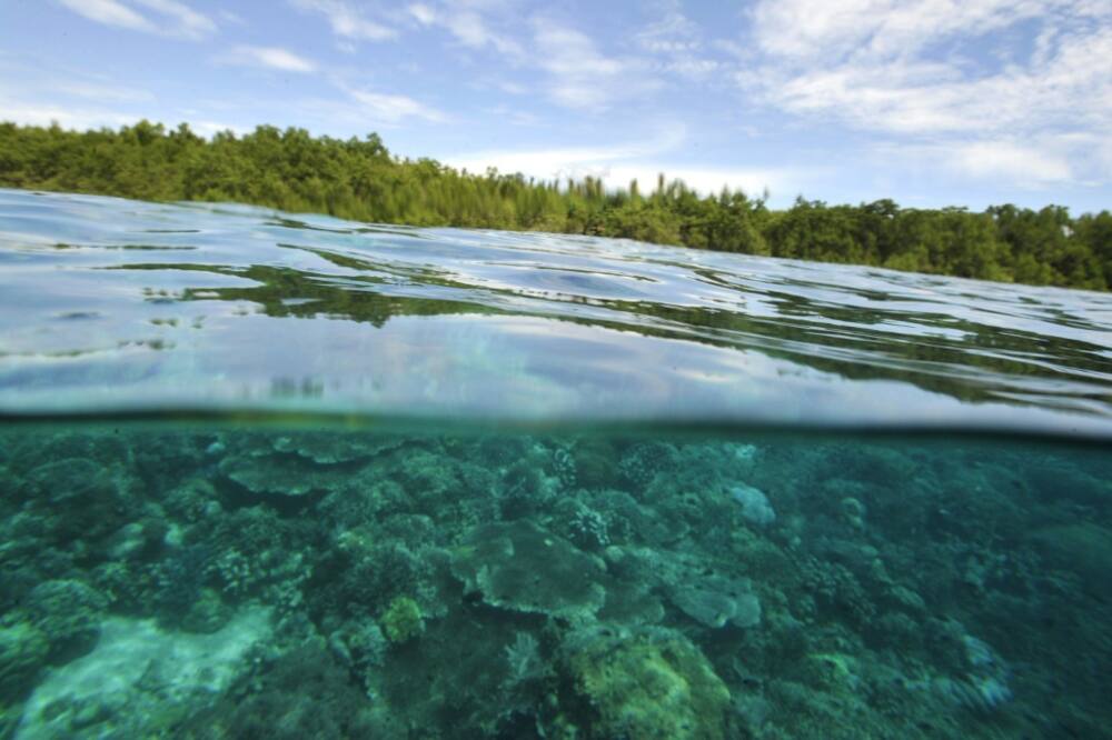 Residents of the Indonesian island of Pulau Pari want Swiss cement giant Holcim to compensate them for climate-related damage