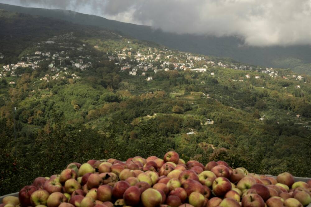The area's Zagorin apples  have since 1996 carried a protected European designation of origin label